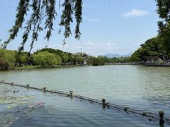 -江心屿景区