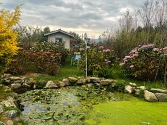 -猫米花园