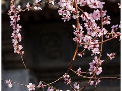 -三里河公园