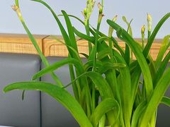 -会仙楼(金融街店)