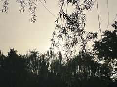 -团结湖公园