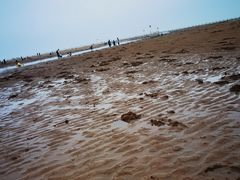 -刘家湾赶海园