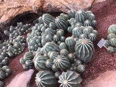 -南通洲际绿博园