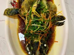 -琼大师东方烤乳猪(亚特兰蒂斯店)