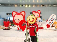 -哈尔滨热雪奇迹