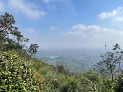 -杭州半山国家森林公园