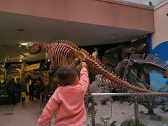 -陕西自然博物馆