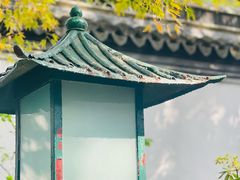 -秋霞圃