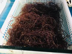 海草-谊品生鲜折扣店(红城丽景店)