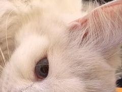 -平行世界·猫咖(首经贸店)
