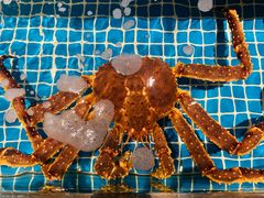 -隐炉和牛烧肉店(群力店)