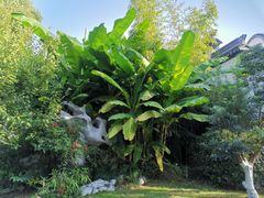 -乌镇望津里精品酒店