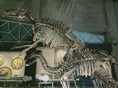 -湖南省地质博物馆