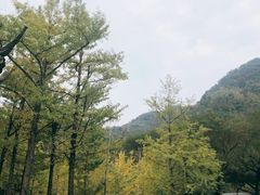 -五泄景区