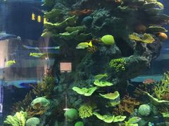 -福州罗源湾海洋世界旅游区