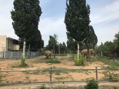 -石家庄市动物园