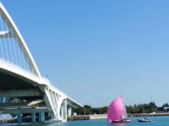 -五缘湾湿地公园