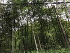 -千泷沟大瀑布旅游区