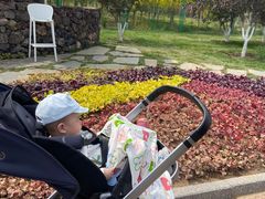 -天津东丽湖风景区