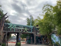 -观澜山水田园