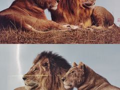 -杭州工艺美术博物馆