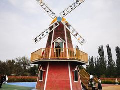 -金塔沙漠胡杨林景区