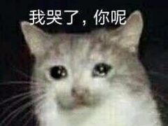 -鲍师傅糕点(国金街店)