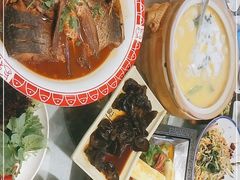-邵年鸽(杨庄店)