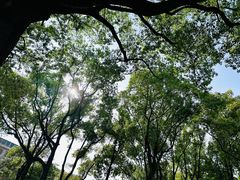 -上海市龙华烈士陵园