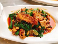 回锅肉-陈麻婆豆腐总店