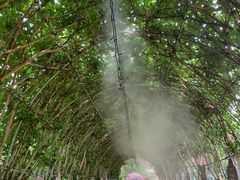 -武汉紫薇都市田园