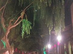 -湖光月色临湖音乐餐厅(台儿庄古城店)