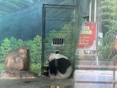 -南宁市动物园