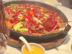 -老板恋上鱼(高新万达店)