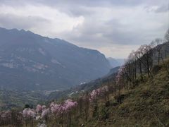 -九皇山景区