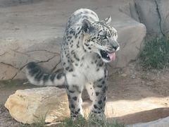 -青藏高原野生动物园