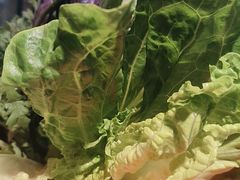 -醉得意·山茶油炒土鸡(莆田仙游方圆荟店)