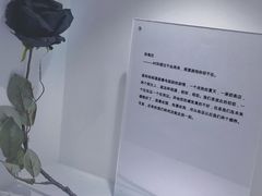 -深圳失恋博物馆再见前任(汇商名苑店)