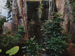 -滕头生态酒店(奉化店)