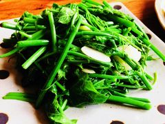 清炒豆尖-云之南(八里庄店)
