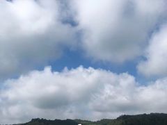 -关山草原