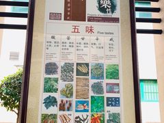 -广州神农草堂中医药博物馆