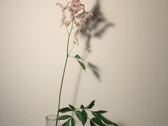 -杭州街角花屋花店(闻堰店)