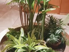 -阿杜打边炉(五江天街店)