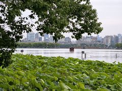 -北山街历史文化街区