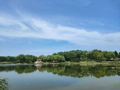 -北坞公园
