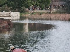 -范蠡湖公园