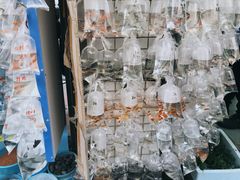 -翠华餐厅(旺角文华商场店)