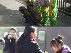 -中国西峡恐龙遗迹园