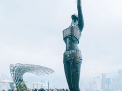 -星光大道